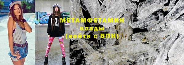 сатива Долгопрудный