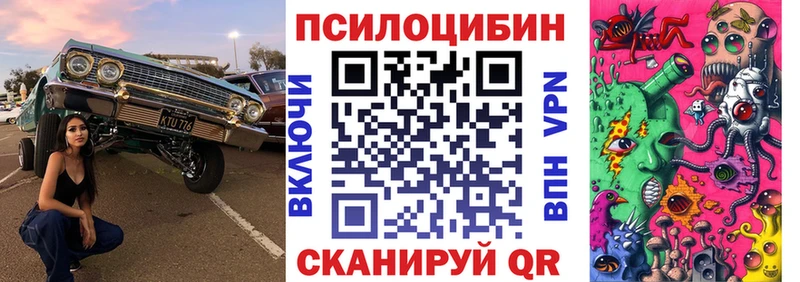 Псилоцибиновые грибы мицелий  mega как зайти  Агрыз 