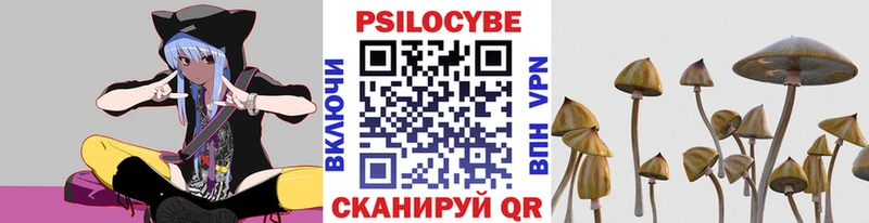 Псилоцибиновые грибы MAGIC MUSHROOMS Агрыз
